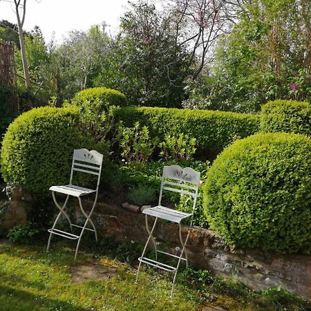 شقة Haus Meersburg Rebe المظهر الخارجي الصورة